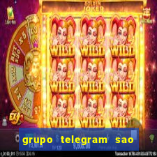 grupo telegram sao jose do rio preto