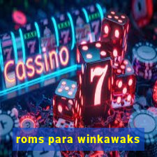 roms para winkawaks