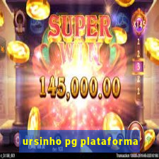 ursinho pg plataforma