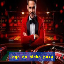 jogo do bicho puxa de dona maria