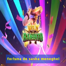 fortuna de sasha meneghel