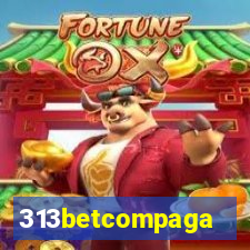 313betcompaga