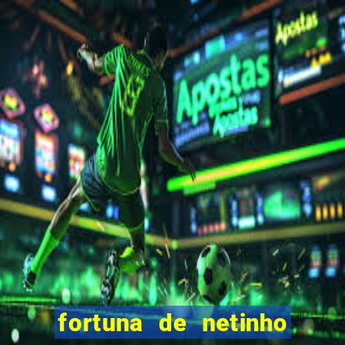 fortuna de netinho de paula