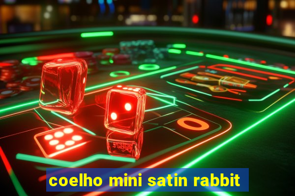 coelho mini satin rabbit